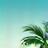 Private Island Icon
